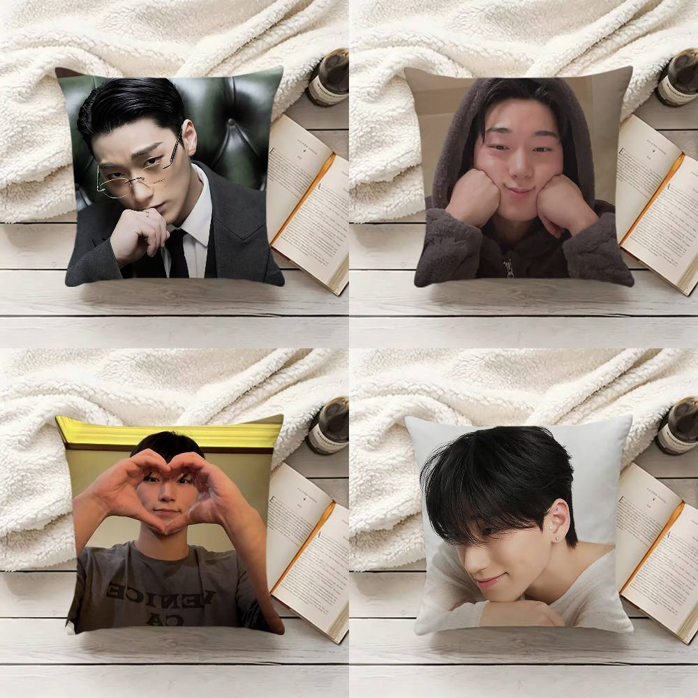 C-Choi S-San 베개 커버 소파 쿠션 커버 홈  - Home.Textiles Cushion 리뷰 및 가격