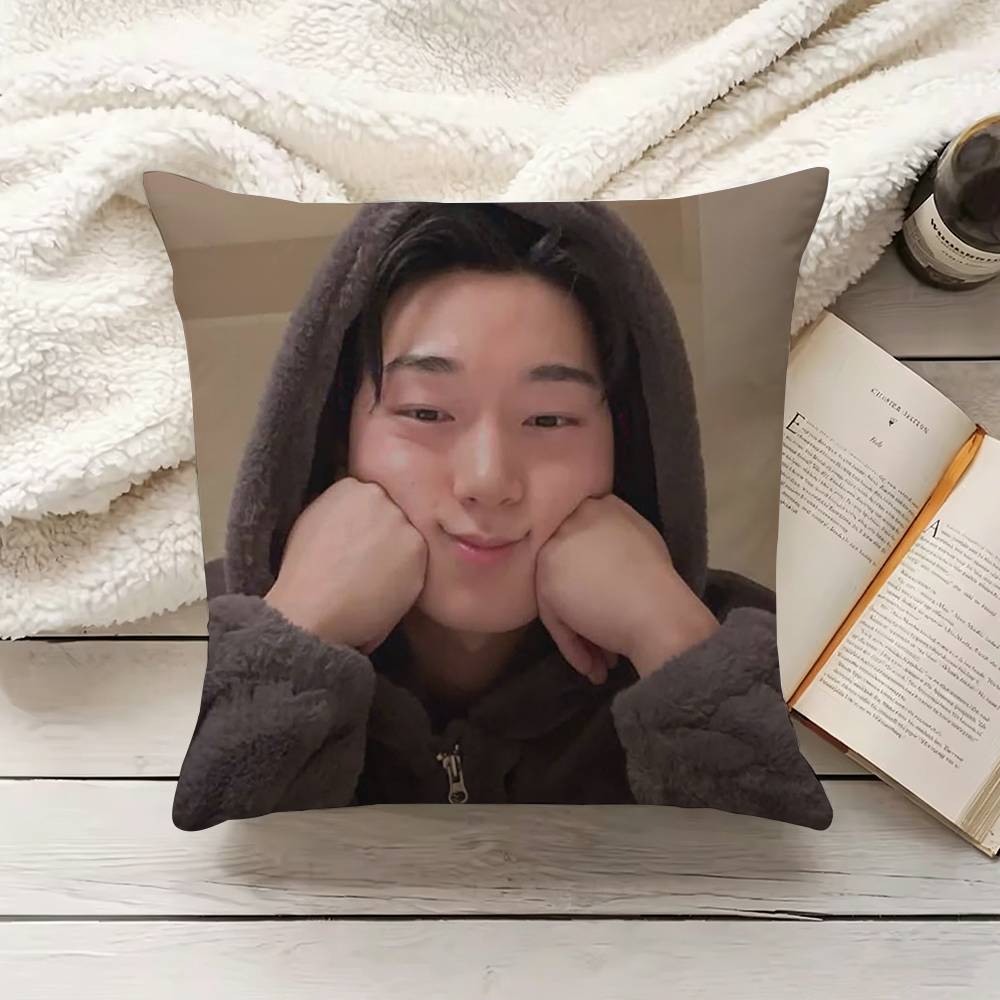 C-Choi S-San 베개 커버 소파 쿠션 커버 홈  - Home.Textiles Cushion 리뷰 및 가격